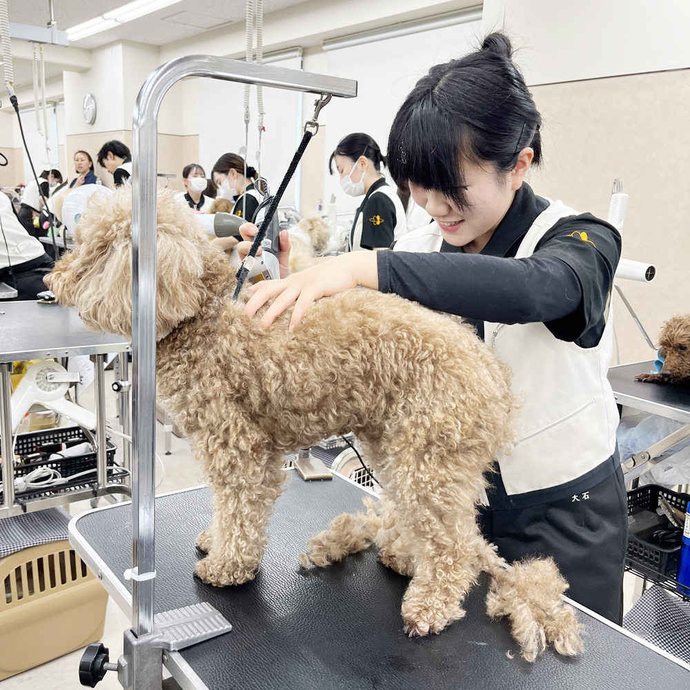 かわいいお客様！